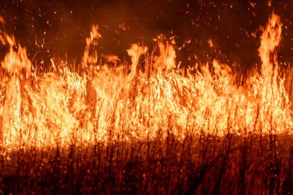 Senamhi emite alerta roja: altas temperaturas afectan a más de 15 regiones