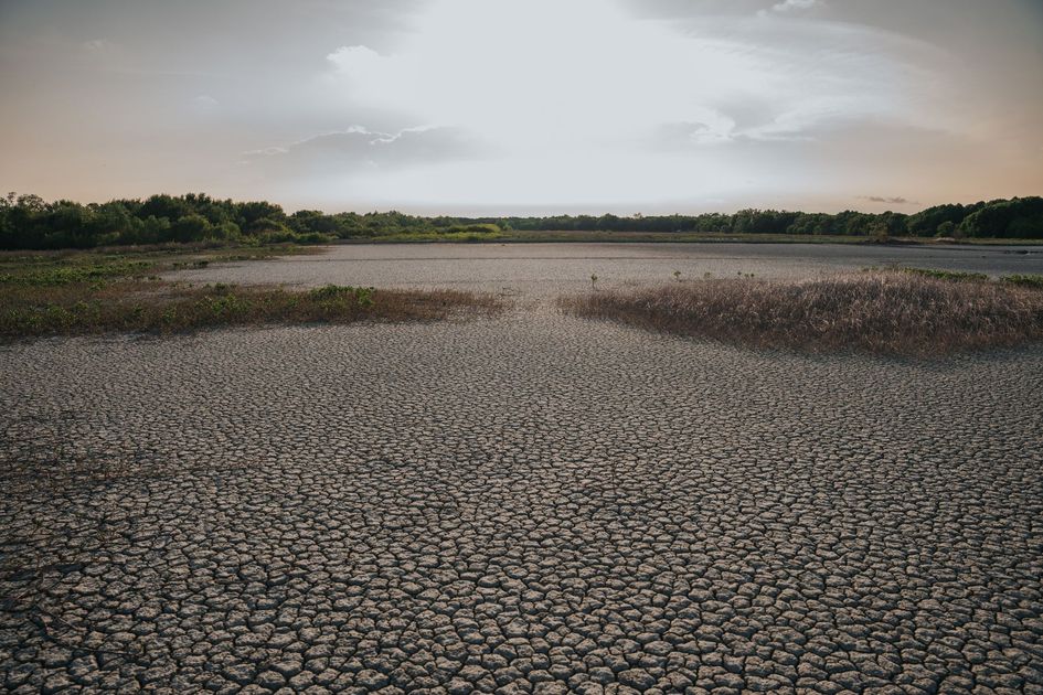 ONU alerta por El Niño: Lluvias torrenciales y sequías extremas se intensificarán
