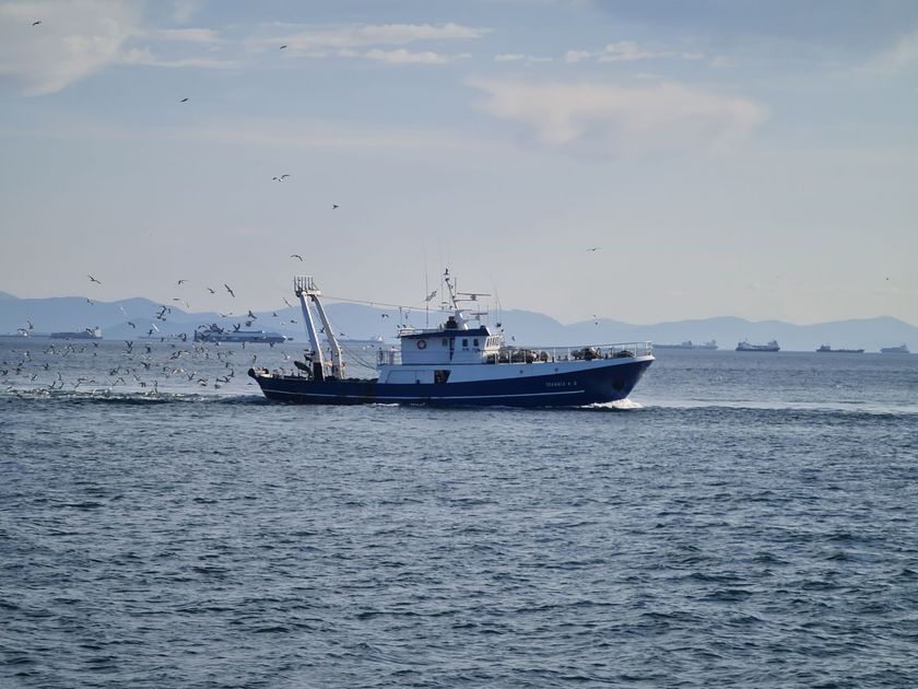 Sociedad Nacional de Pesquería advierte paralización total: Gobierno descarta segunda temporada de anchoveta